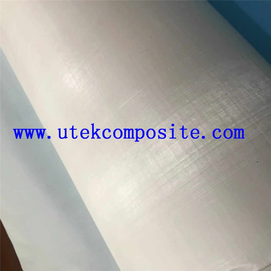 High Tensil Streght UHMWPE Fabric Anti Corrosion Wearing Resisting